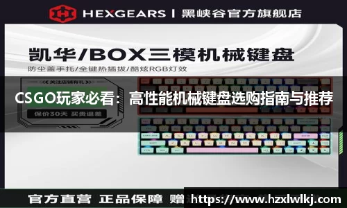 CSGO玩家必看：高性能机械键盘选购指南与推荐